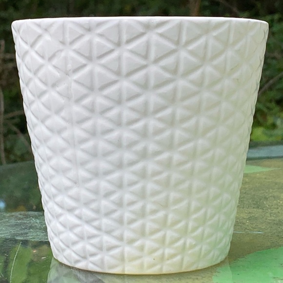 PADDYWAX Lilac & Moss SOY CANDLE IN CERAMIC! Made in USA Hand Poured Scented NWT - Picture 5 of 5